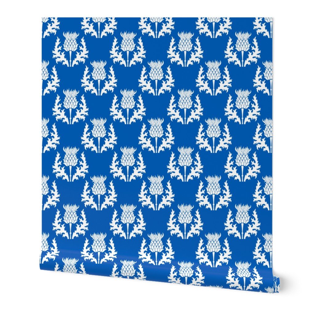 Large White Thistle Flower of Scotland on Scottish Flag Blue Wallpaper Large White Thistle Flower of Scotland on Scottish Flag Blue Wallpaper