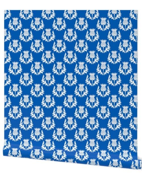 Small White Thistle Flower of Scotland on Scottish Flag Blue Wallpaper