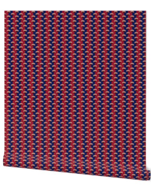 Mini Footballs New York's Famed Team Colors  Blue and Red Wallpaper