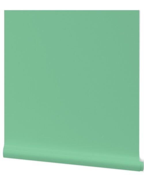 Beguiling Green Shade Solid Color Coordinate Wallpaper