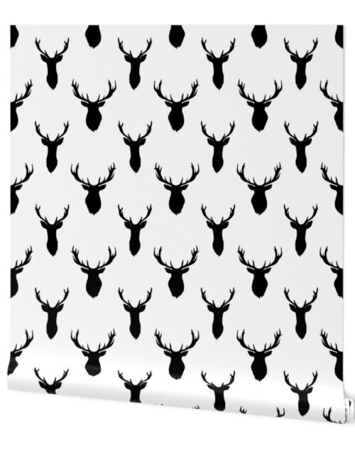 Large Black Buck Deer Trophy Heads with Antler Racks Mounted on White Wallpaper