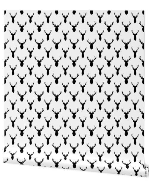 Black Buck Deer Trophy Heads with Antler Racks Mounted on White Wallpaper