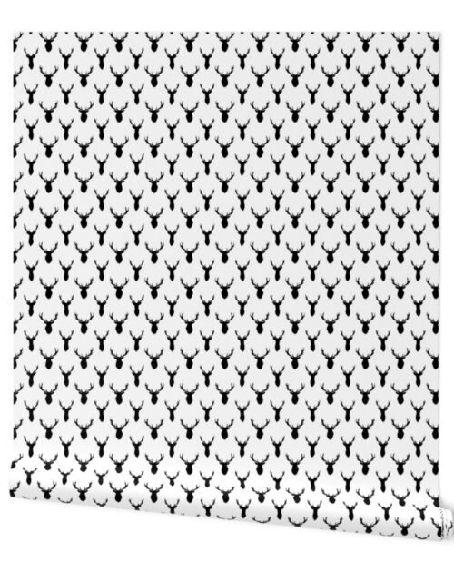 Small Black Buck Deer Trophy Heads with Antler Racks Mounted on White Wallpaper
