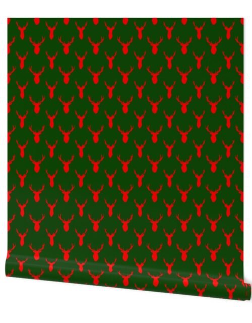 Red Buck Deer Trophy Heads with Antler Racks Mounted on Green Wallpaper