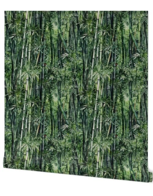 Bamboo Trees in Endless Lush Wet Rain Forest Grove in Green Watercolors Wallpaper