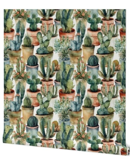 Potted Cactus Cacti Watercolor Wallpaper