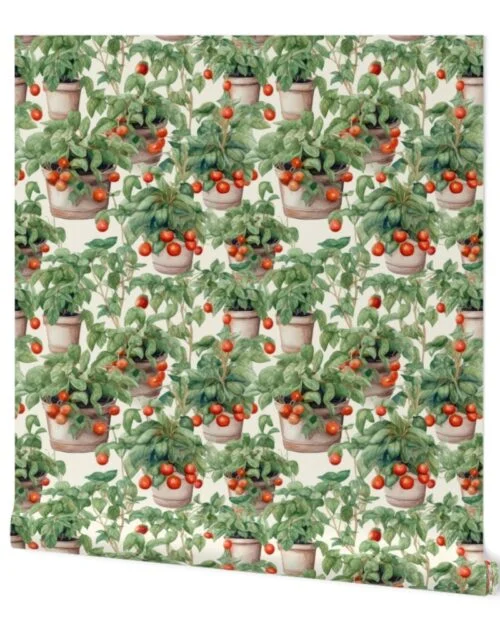 Potted Tomato Plants Watercolor Wallpaper