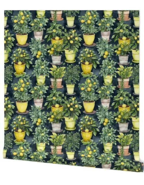 Potted Lemon Trees Watercolor on Dark Green Wallpaper