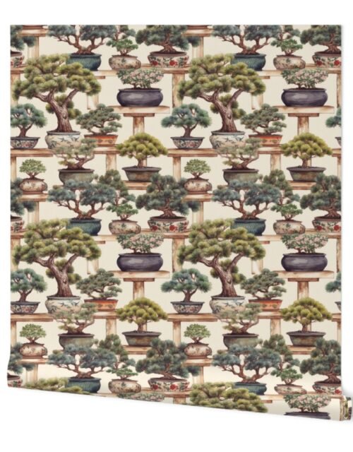 Potted Japanese Bonsai Trees Watercolor Wallpaper