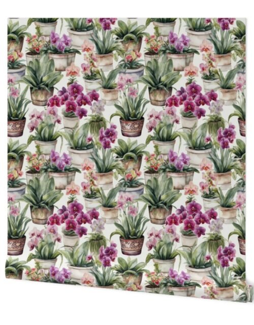 Potted Orchid Plants Watercolor Wallpaper