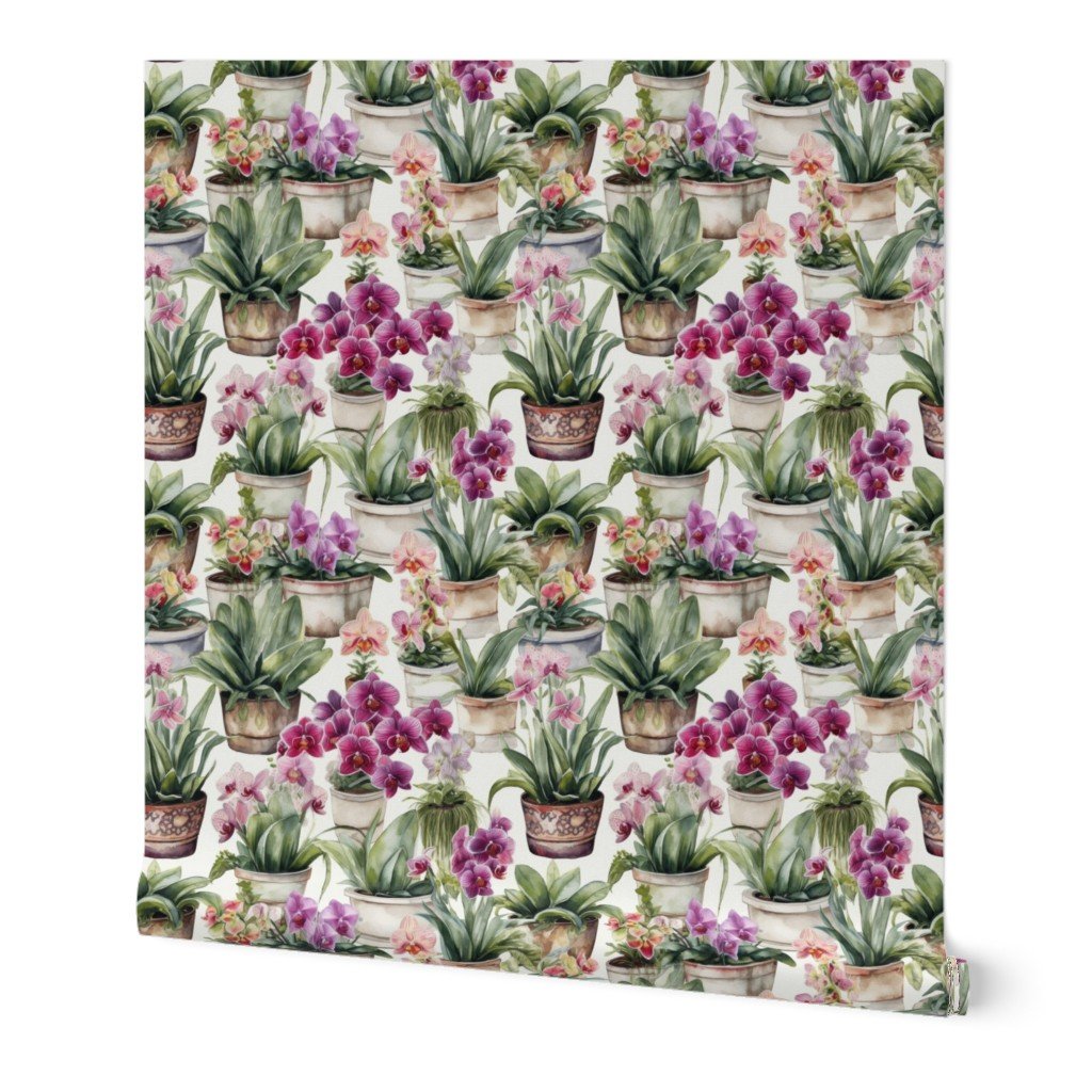Potted Orchid Plants Watercolor Wallpaper Potted Orchid Plants Watercolor Wallpaper