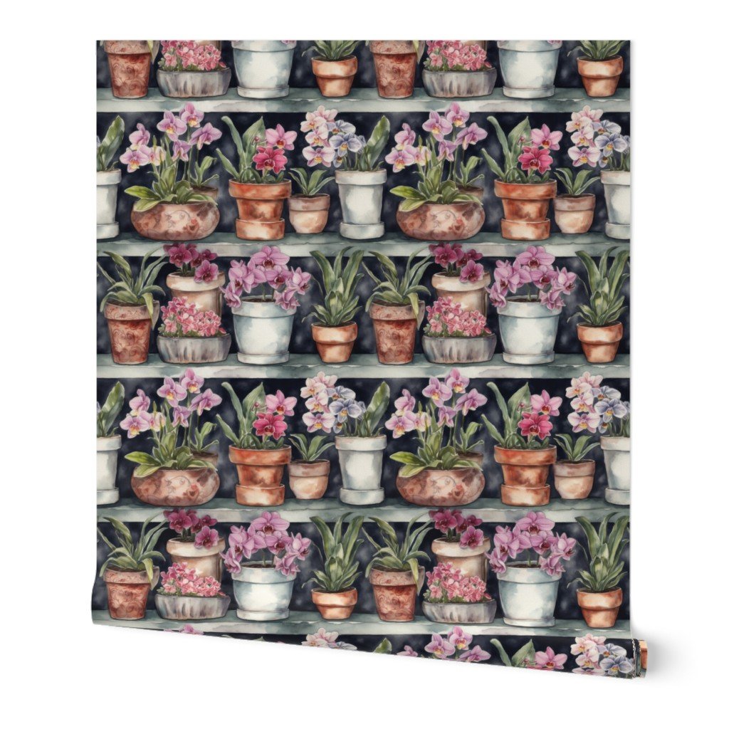 Potted Orchid Plants Watercolor on Shelves Wallpaper Potted Orchid Plants Watercolor on Shelves Wallpaper