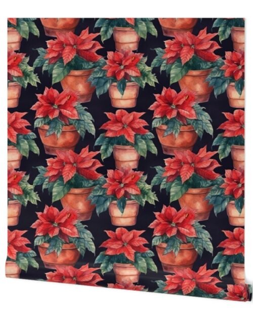 Potted Red Christmas Poinsettias Watercolor on Black Wallpaper