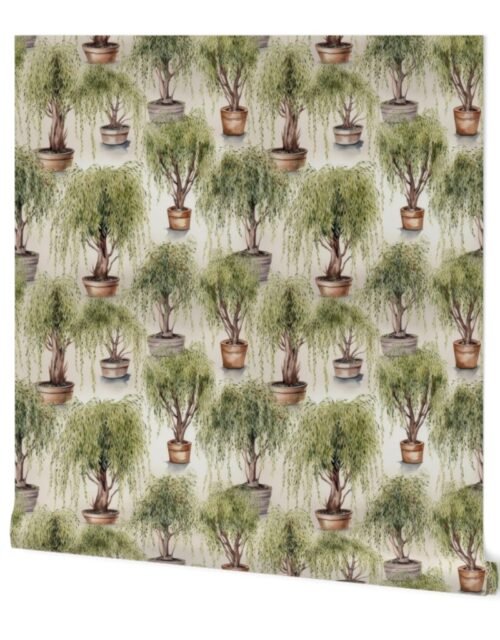 Potted Green  Baby Willow Tree Plants Watercolor Wallpaper