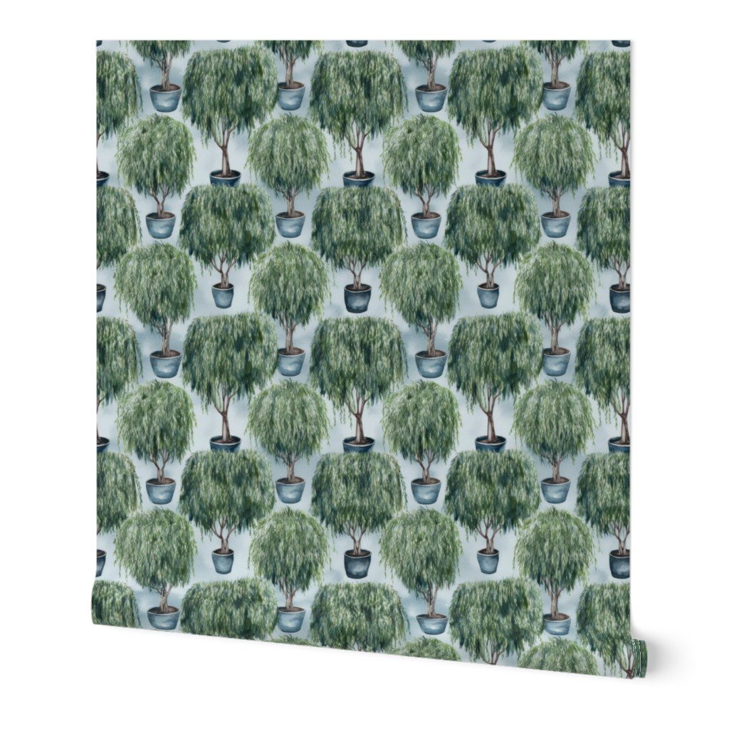 Potted Green Baby Weeping Willow Tree Plants Watercolor on Pale Blue Wallpaper Potted Green Baby Weeping Willow Tree Plants Watercolor on Pale Blue Wallpaper