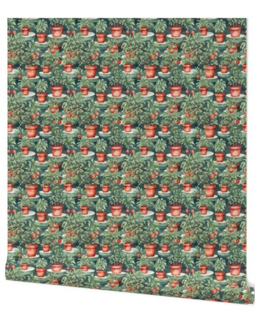 Small Potted Tomato Plants Watercolor on Green Wallpaper