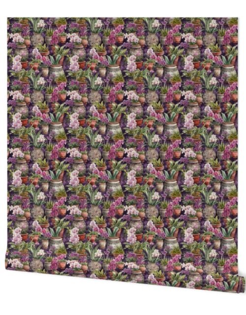 Small Potted Orchid Plants Watercolor Wallpaper