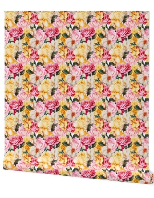 Densely Packed Jumbo Floral Rose Blossoms in Yellow, Pink and White Wallpaper