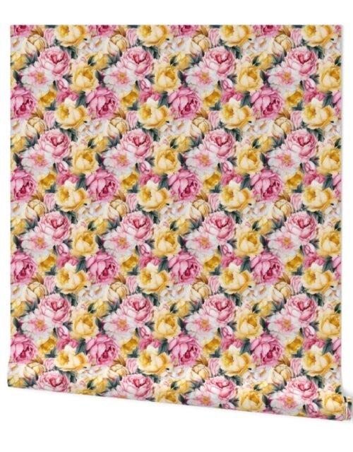 Densely Packed Jumbo Floral Rose Blossoms in Yellow, Pink and White Wallpaper