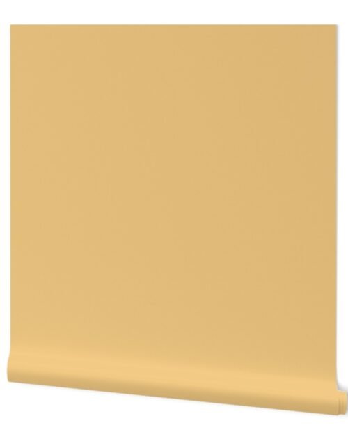 Chinese Fan Bamboo Beige Solid Coordinate Wallpaper