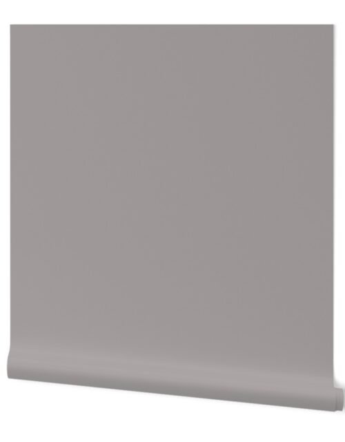 Fawn Solid Trim Color Wallpaper