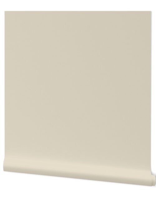 Cream Solid Trim Color Wallpaper