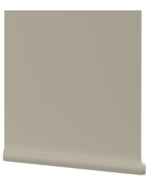 Beige Solid Trim Color Wallpaper