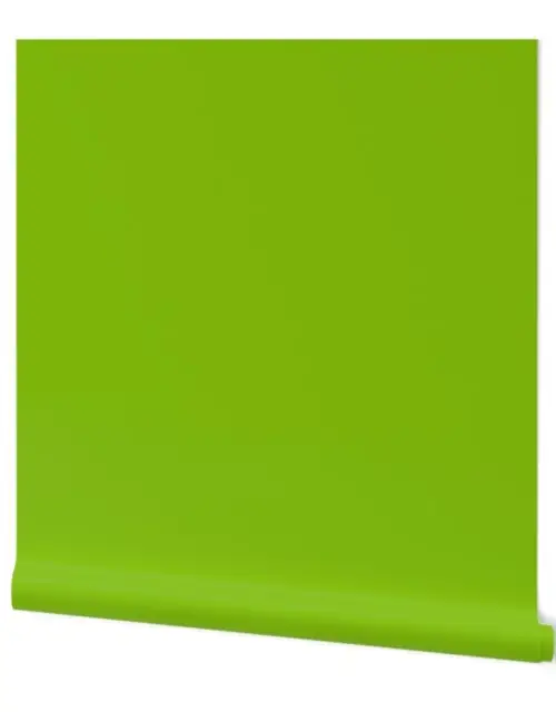 Green - Tomato Solid Color Palette Wallpaper