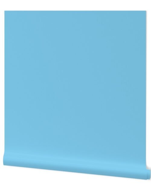Sea Glass  Aqua Solid Color Palette Wallpaper