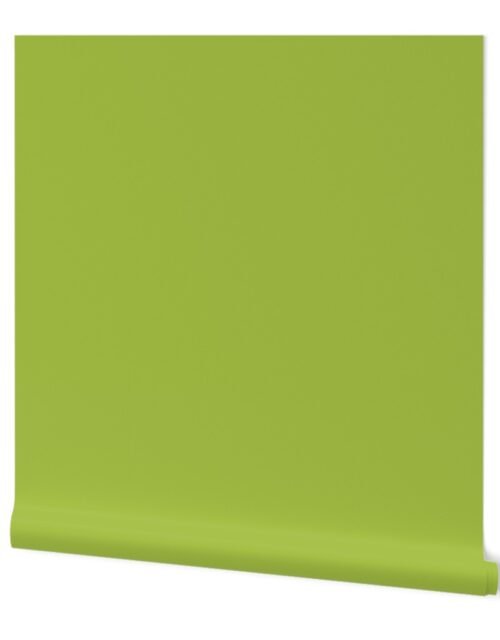 Fresh Green Solid Trim Color French Provincial Spring Wallpaper