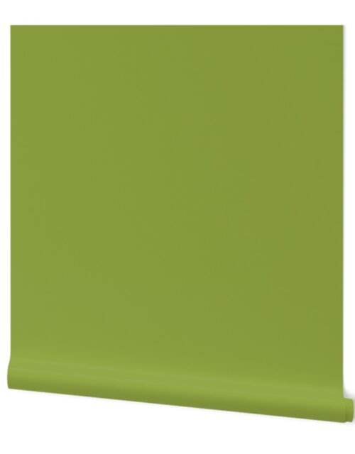 Grass Green Solid Trim Color French Provincial Spring Wallpaper