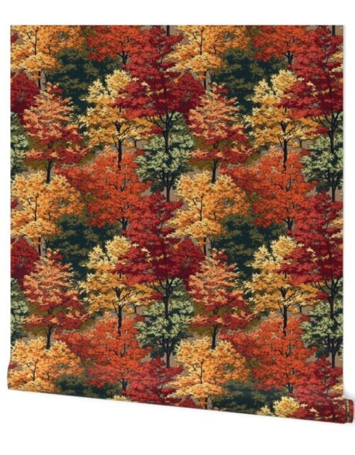 Small New England Endless Forest Fall Trees Wallpaper