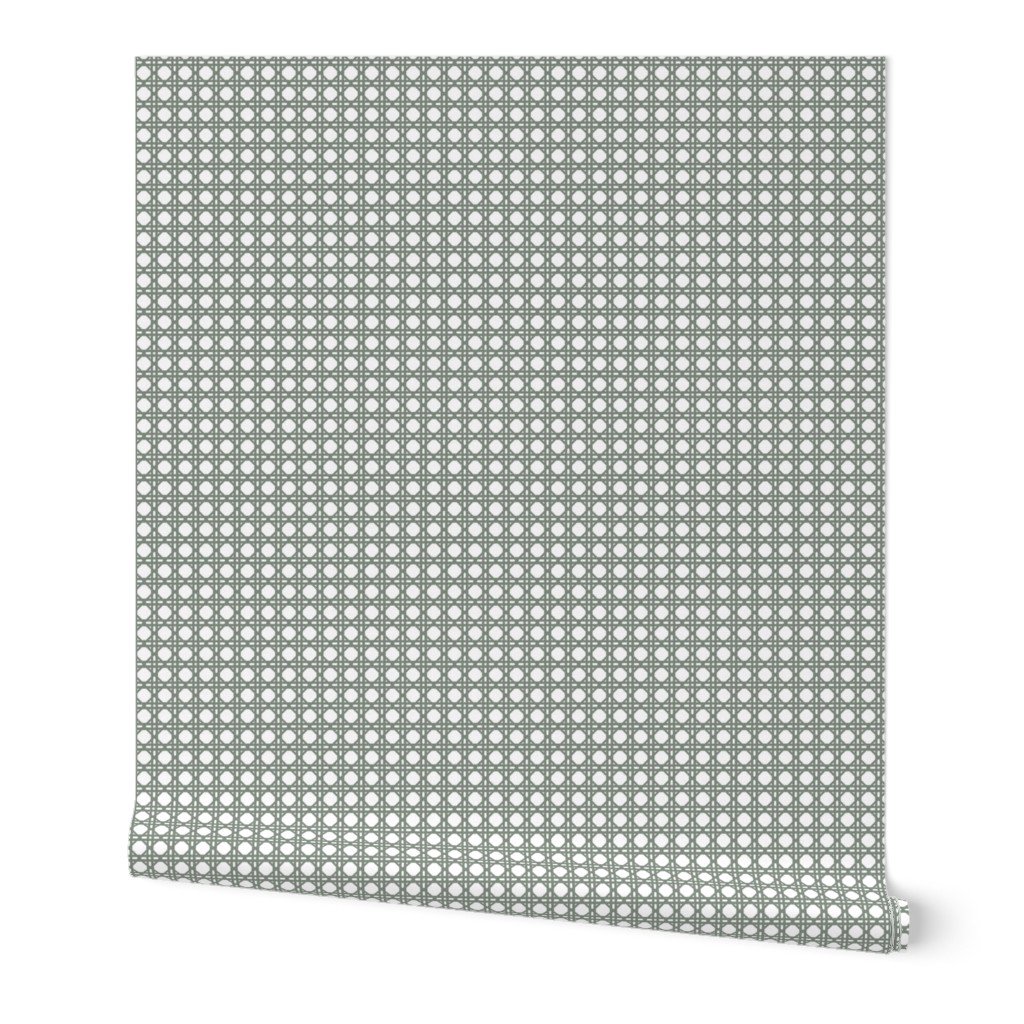 Sage Green on White Rattan Caning Pattern Wallpaper Sage Green on White Rattan Caning Pattern Wallpaper
