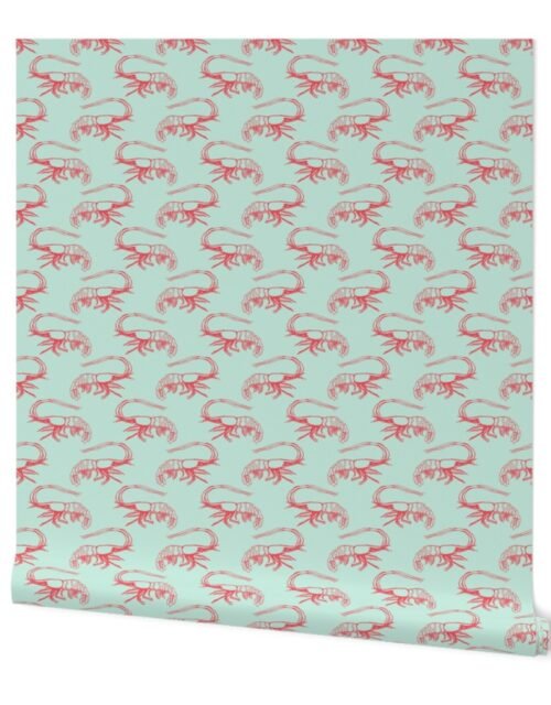 Coral Shrimp on Mint Wallpaper