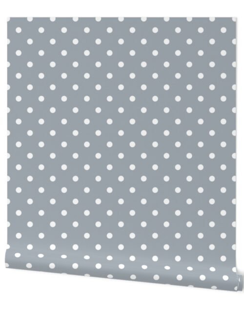 Grey Mist and White Polka Dots Wallpaper