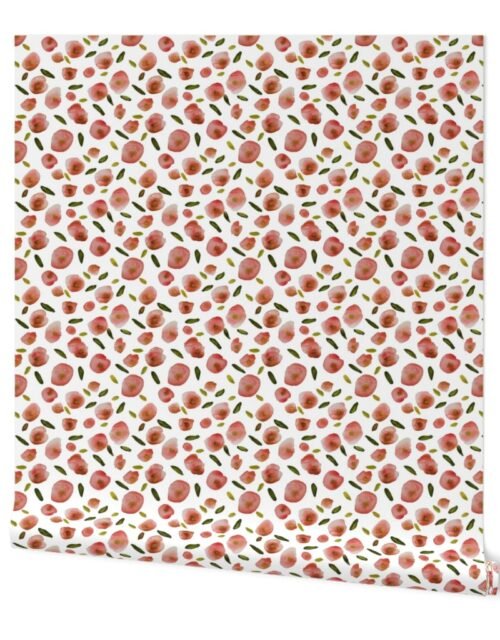 Poppies Hand-Painted Watercolors in Rose Pink on White Wallpaper