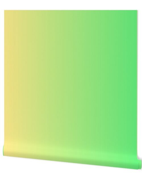 Lemon Lime Ombre Sorbet Wallpaper