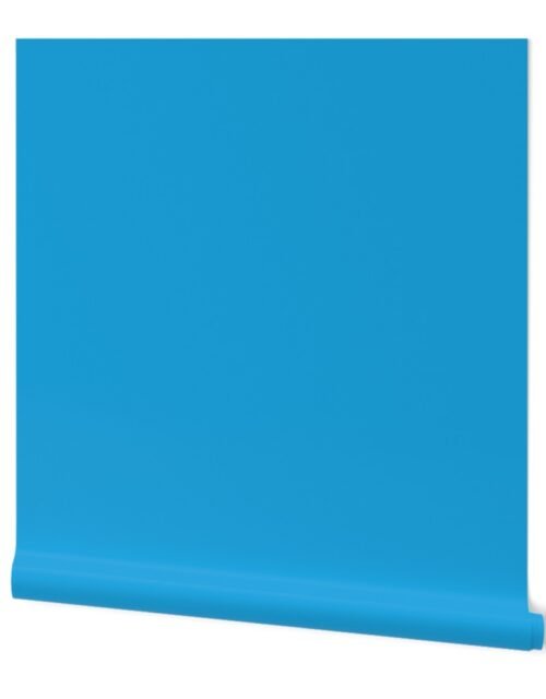 Oktoberfest Bavarian Blue Solid Color Wallpaper