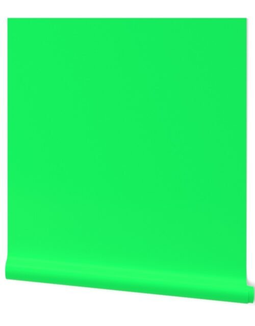 Lanai Lime Green - Acid Green Wallpaper