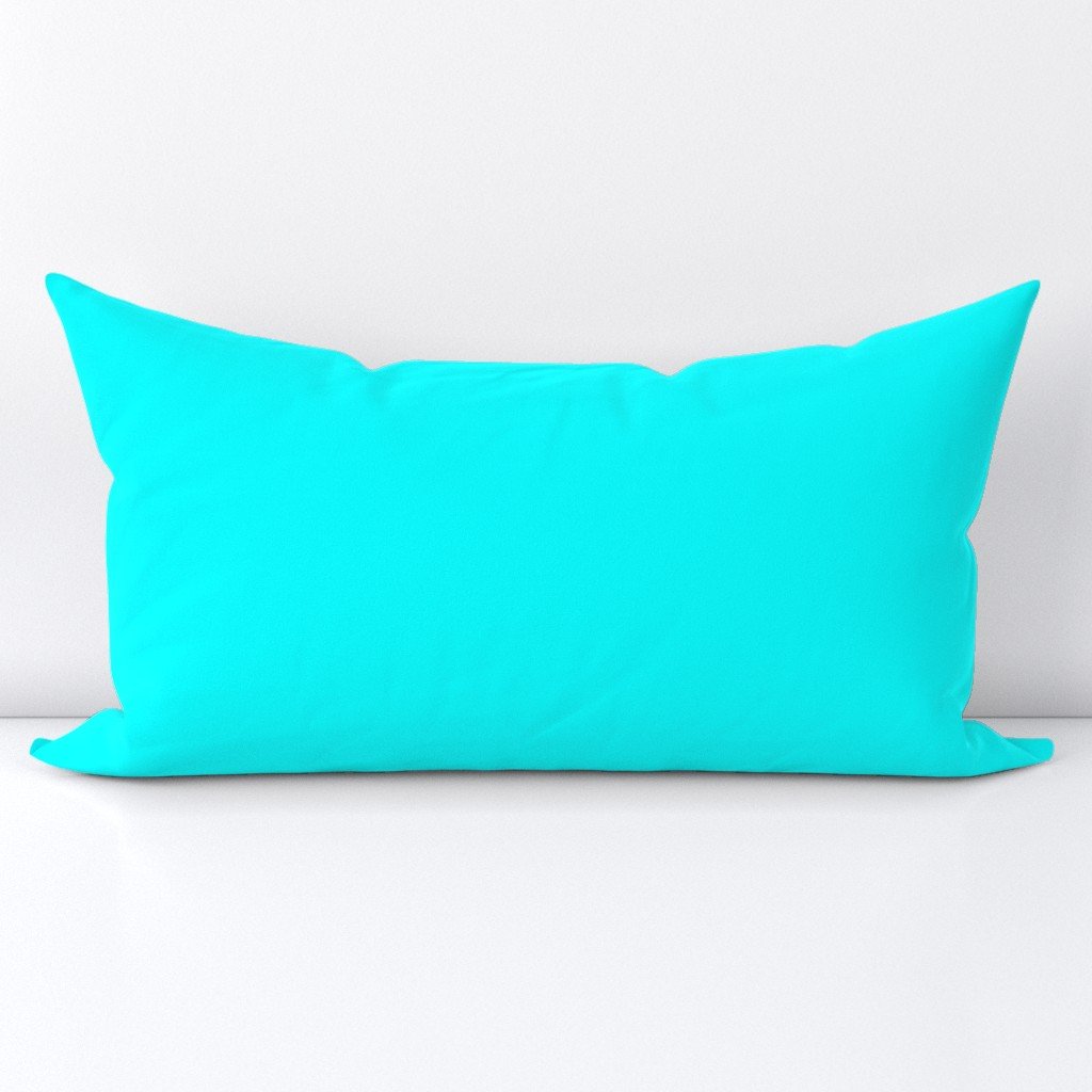 Bright Neon Aqua Blue Solid Coordinate Lumbar Throw Pillow Bright Neon Aqua Blue Solid Coordinate Lumbar Throw Pillow