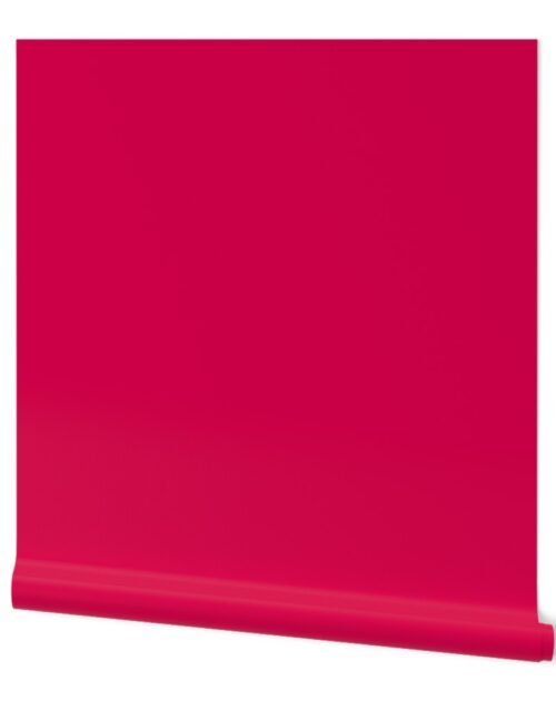 Bright Pink Peacock 2018 Fall Winter Color Trends Wallpaper