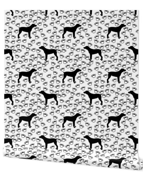 Big Black Dog and Paw Prints on White Wallpaper