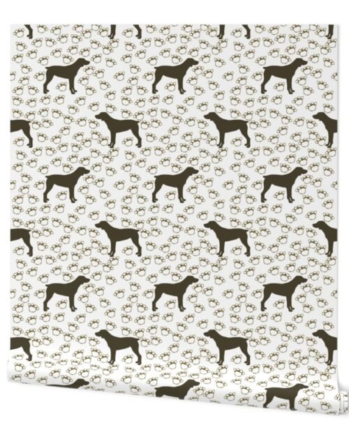 Big Brown Dog and Paw Prints Wallpaper