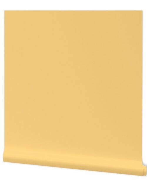 Hibiscus Solid Yellow Sunshine Accent Wallpaper