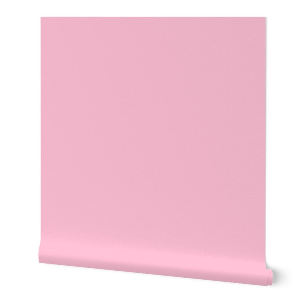 Hibiscus Solid Pink Bloom Accent Wallpaper Hibiscus Solid Pink Bloom Accent Wallpaper