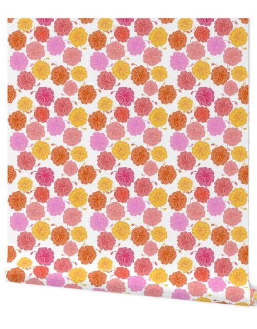 Hibiscus Hawaiian Flowers in Pinks and Corals on White Wallpaper
