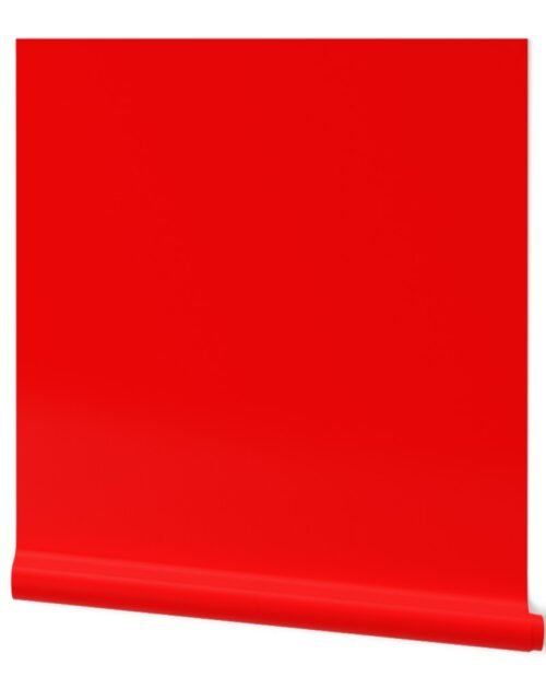 Holly Red Christmas Red Solid Wallpaper