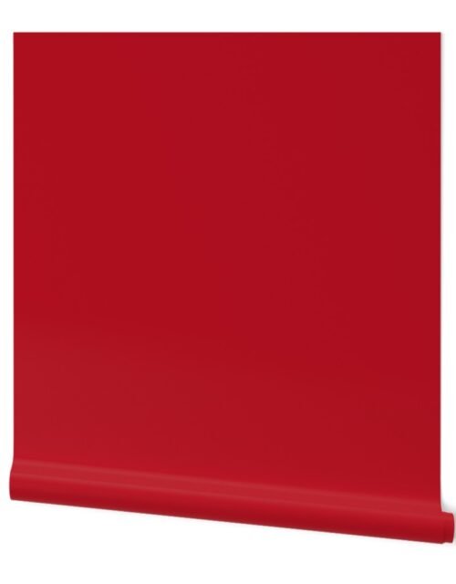 Red Carpet Solid Summer Party Color Wallpaper
