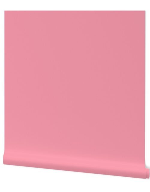 Pink Petal Solid Summer Party Color Wallpaper