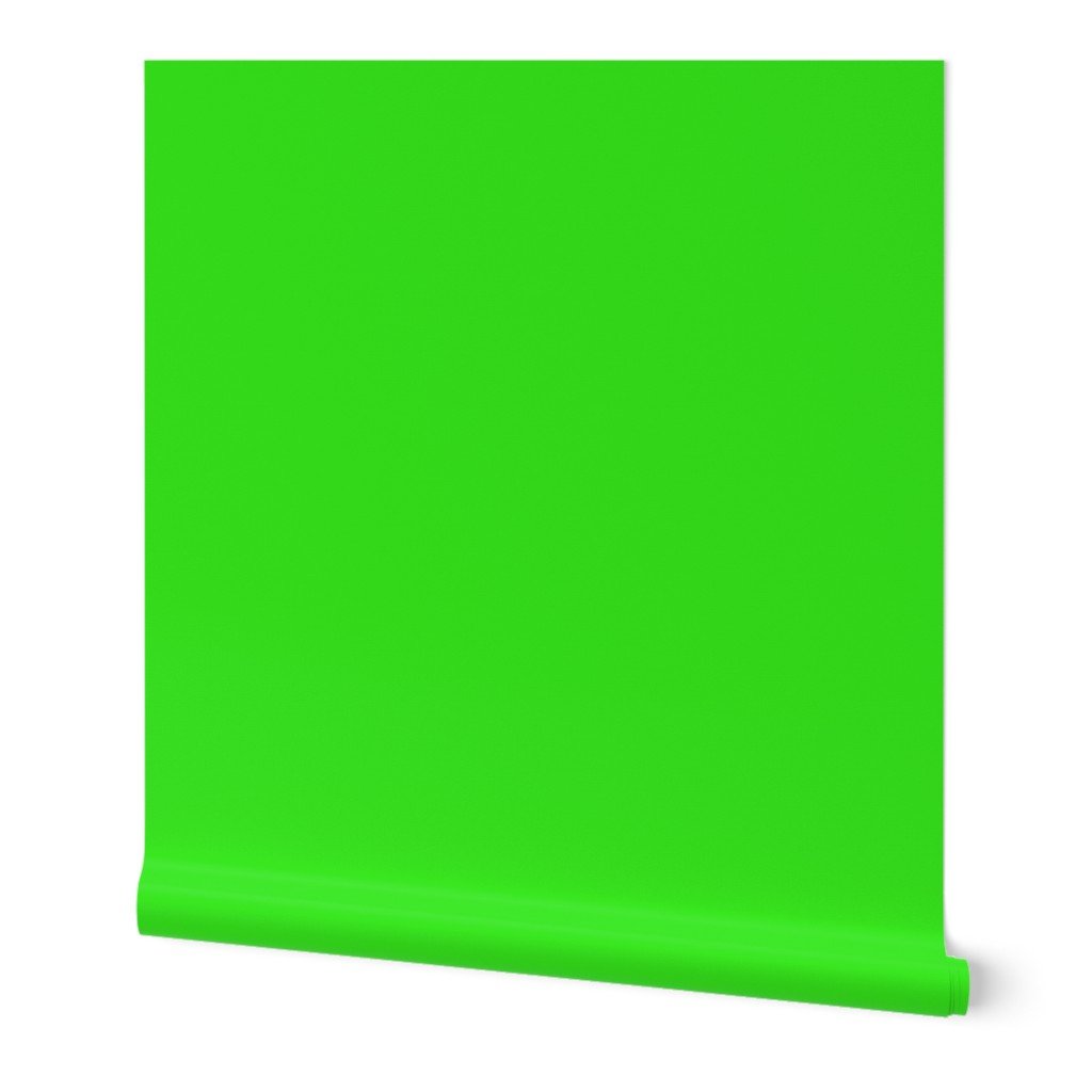 Lime Margarita Solid Summer Party Color Wallpaper Lime Margarita Solid Summer Party Color Wallpaper